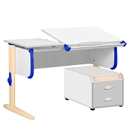 СУТ-25-03 парта дэми сут-25-03 120 см раздельная с тумбой Дэми  парта дэми сут-25-03 120 см раздельная с тумбой Дэми СУТ-25-03